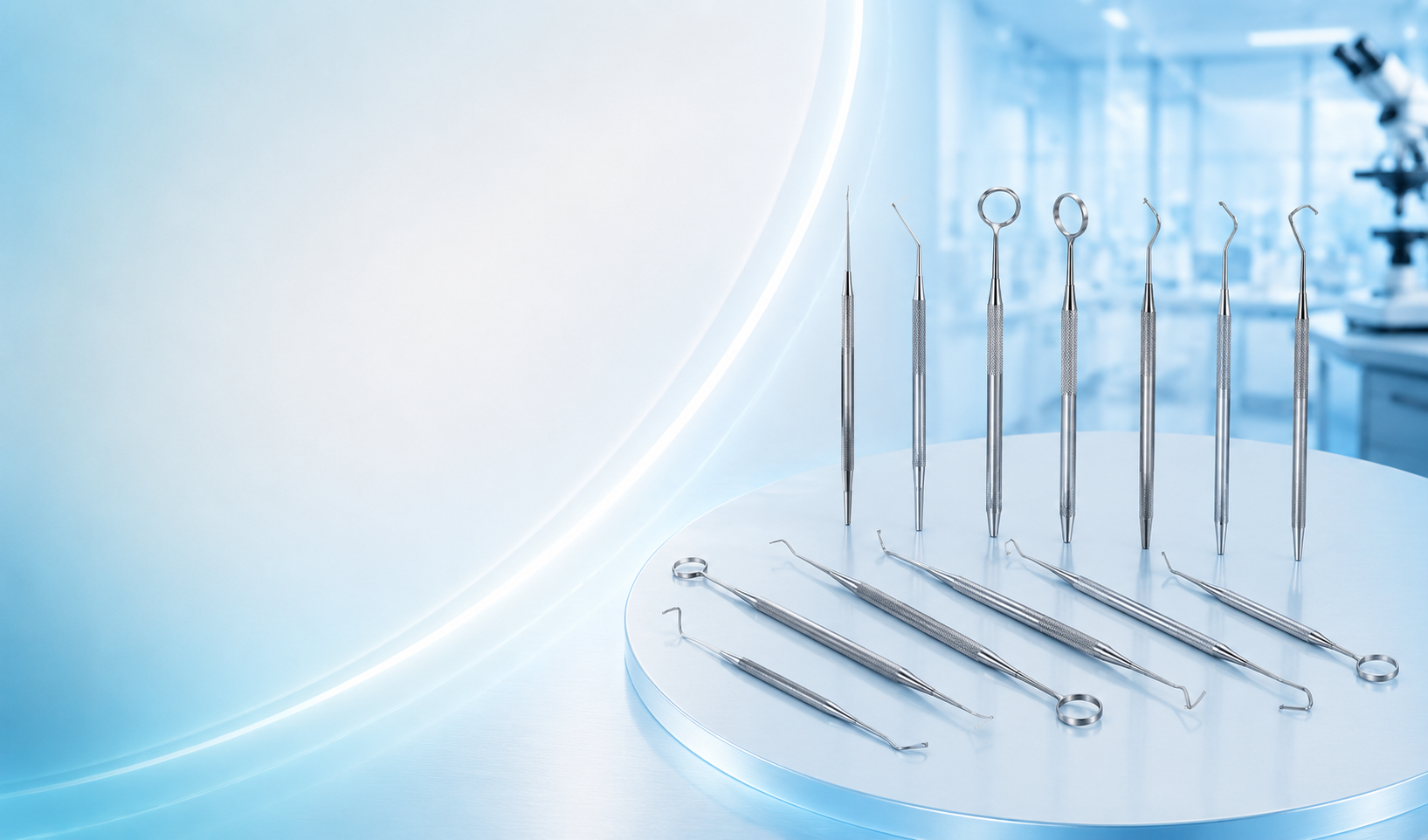Fixation Ring and Hooks